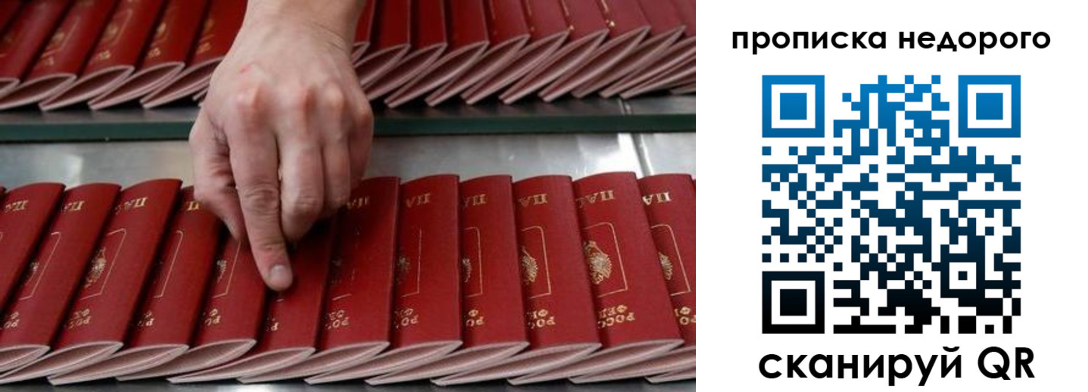 прописка регистрация в Рубцовске